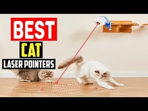 ✅Top 5 Best Cat Laser Pointers of 2025