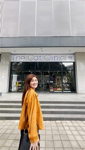 182K views · 4.5K reactions | Draco and Minnie's first executive check-up and dental prophylaxis! The Cat Clinic  daig pa ako ng mga cats ko haha! Motto in life: "my cats before myself"  ang mga #priorities sa buhay. Char Jokes aside, I recommend na mapa-excutive check up and dental prophylaxis natin ang pets natin para alam natin ang health nila. ❤️ Pareho lang dapat sa kung paano natin alagaan ang sarili natin.  | Thea Tolentino | Facebook