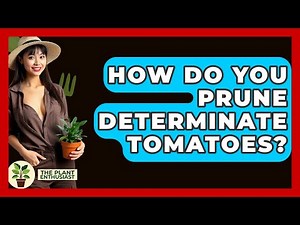 How Do You Prune Determinate Tomatoes? - The Plant Enthusiast