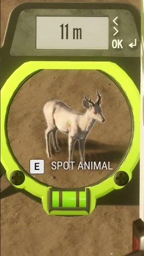 CRAZY to shoot this ALBINO from 12 Meters?! 😱🏹