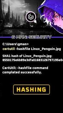 How Does HASHING Work | SHA1 SHA256 MD5 | Basic HASHING!