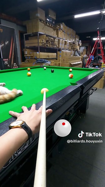 Mastering Billiards: Learning the Art of Chinese Eight Ball