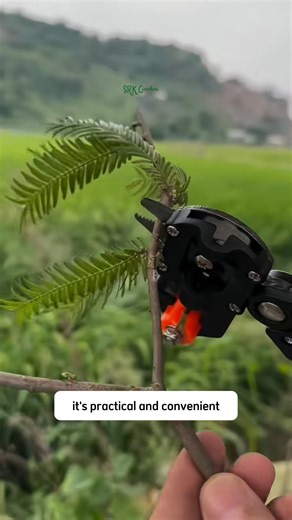 Multi Function Grafting Pruner | Dodo Garden