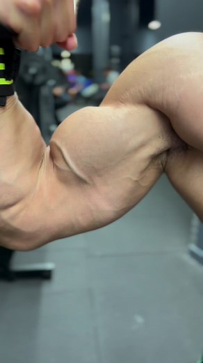 822K views · 33K reactions | BICEPS WORKOUT . Ig: sou.hail__ #fitnessjourney #body #biceps #bodybuilder #maroc #arms #motivation #france #bicepsworkout #bicepsday #fitness #armsworkout #triceps #shredded #hardwork #shoulders #gym #gymlife #gymmotivation #gymtime | Sou Hail | Facebook