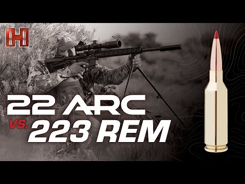 22 ARC vs 223