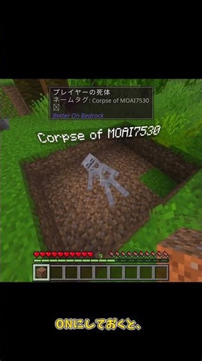 【Minecraft】 Better on Bedrock 初期設定