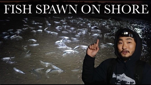 I witnessed hundreds of fish spawning! 🐟