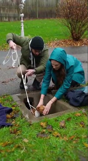 Trapped and Terrified! 😭 Saving a Scared Puppy from a Dark Drainage Pipe 🐶🆘 #rescueefforts #rescue