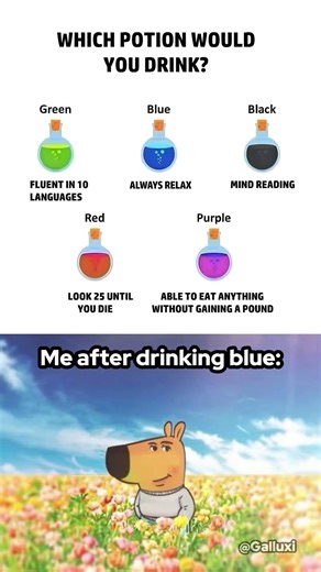 Potion choices ⚗️