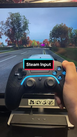 Satu alasan lagi kenapa Steam itu superior dibanding game launcher lain 😤 #pc #steam #controller #ps4 #xbox