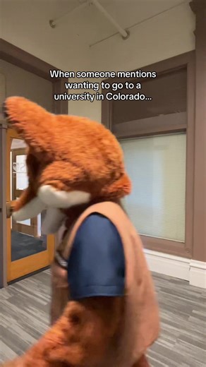 Why Regis University is Your Perfect College Fit