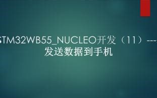 STM32WB55_NUCLEO开发（11）----发送数据到手机