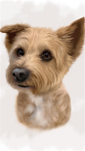 Say hello to Hercules 👋 What do you think of their portrait drawing? 😁 Sadly no longer with us, Hercules is sorely missed 😇 | Jack Draws Your Pet