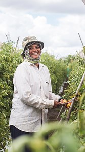 209 shares · 35 comments | Are you a farmer? Struggling with plant problems? This Free App is for you. Avoid unnecessary costs due to inappropriate use of chemicals. Use Plantix, the app that meets the farmer's needs. | Plantix | Facebook