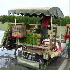 11M views · 53K reactions | Process of rice making - American food's factory | Kopkit | Facebook