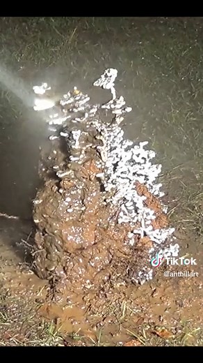 Casting a Fire Ant Colony with Molten Aluminum. Sorry for the repost but I didn't like the old cut. 17.9 lb, 18