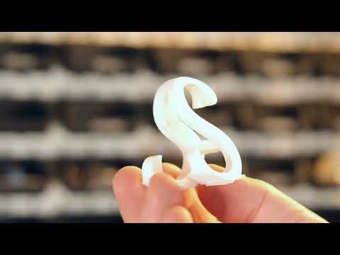 How One Object Becomes Two Shapes | Designing Dimorphs in Tinkercad