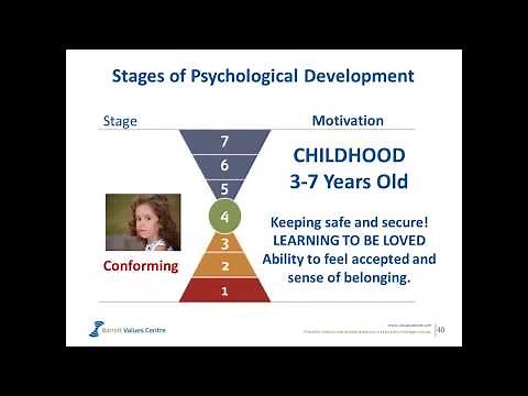 How to build a high performing values-driven organisation by Richard Barrett | MILE Webinar