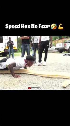 SPEED VS PYTHON... AND HE DID PUSHUPS #shorts #ishowspeed #streamer #funny