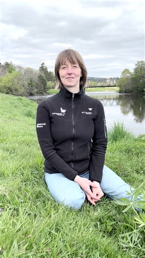 16K views · 229 reactions | There are 270 species of bee in the UK,...