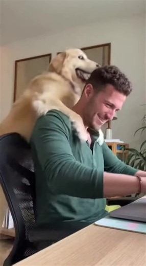 Office Joy with a Dog! This dog knows how to make work fun! #fblifestyle #AI Generated using Kling AI . . . (For entertainment purposes only. Consult professionals if guidance on activities is presented. No brand affiliation is implied if any are shown. If inspired by true events, creative adaptations may be included. Content may include public footage.) | Fabiosa Fitness