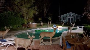 Farmers Insurance TV Spot, 'Hall of Claims: Stag Pool Party'
