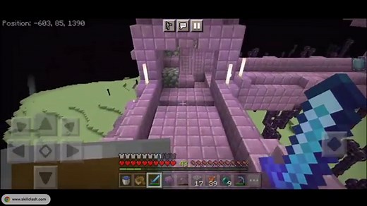 WE FOUND ELYTRA IN MINECRAFT | SURVIVAL #19