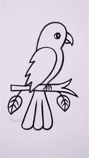 Number Drawing Ideas #drawing #pencildrawing #stepbystep #art #stepbystep #tipsclub