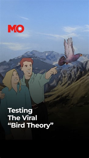 All about the viral bird theory test and why couples shouldn’t take it too seriously. @virtuallyshreya looks at the viral bird theory and decodes if the TikTok trend is backed by science. #BirdTheory #TikTok #Couples | Mo.Of.Everything