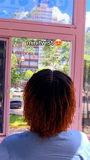 Mini Twists Hair Style Guide and Tips