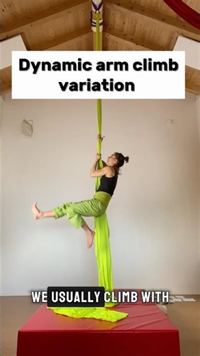 Dynamic arm climb variation #shorts #aerialsilks #aerial #circus #acrobatics