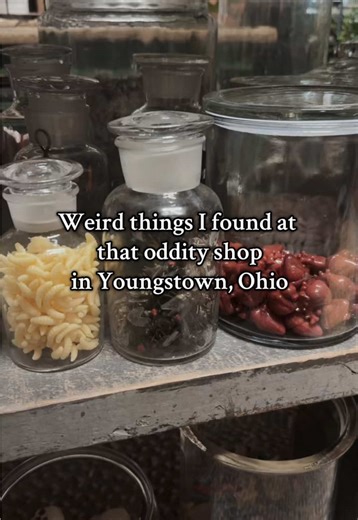 what was i expecting for a place called rabbit stew... in the weirdiest city in ohio? #odditytok #odditiesshop #weirdthings #ohio