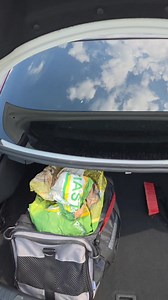 884K views · 3.7K reactions | Śmieszne to życie  #animal #animals #spider #hobby #spiders #snake #snakes #asmr #python | Venomous Art | Facebook