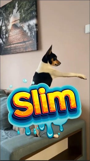 Why Dogs are getting slim while growing up? #dog #dogs #dogshorts #short #shorts #viralvideo #pets