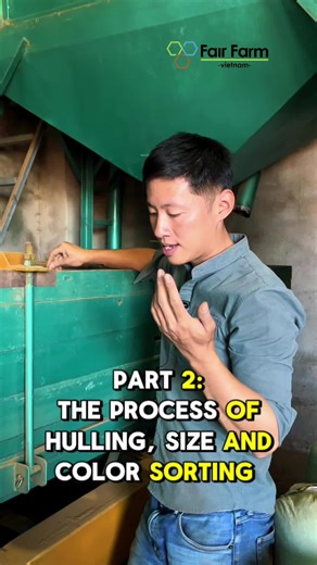 The color sorting and size sorting processes for green coffee beans are essential steps in coffee processing to ensure product quality: 🌱 𝐂𝐨𝐥𝐨𝐫 𝐒𝐨𝐫𝐭𝐢𝐧𝐠 Color sorting uses optical technology to classify coffee beans then detects and removes defective beans, ensuring only high-quality beans are retained. 🌱 𝐒𝐢𝐳𝐞 𝐒𝐨𝐫𝐭𝐢𝐧𝐠 Size sorting separates coffee beans by size to ensure uniformity. Beans pass through screens to classify them, ensuring even roasting and consistent flavor.