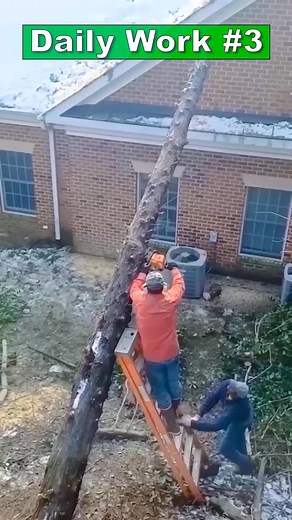 756K views · 3.4K reactions | best adam rose contruction working team | Adam Fans | Facebook