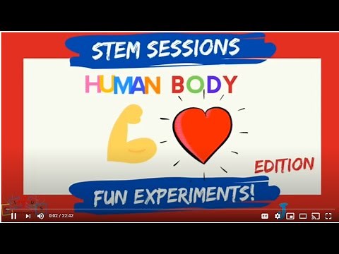 The Human Body- Fun experiments 🧠👁🦵🏾💪🏾
