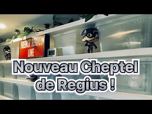 Nouveau Cheptel de Python Regius !!!!