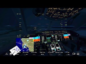 Infinite Flight Boeing 787-9.Multiplayer. Night Flight!