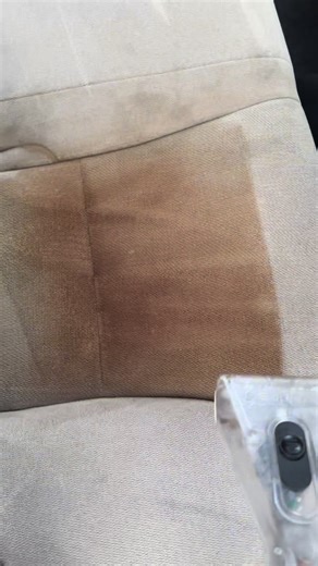 Professional Upholstery Shampooing in Raleigh, NC