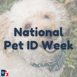 12 reactions · 4 comments | It's National Pet ID Week!  ID tags and...