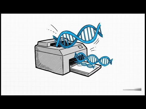The SHOCKING Truth About Organism Reproduction