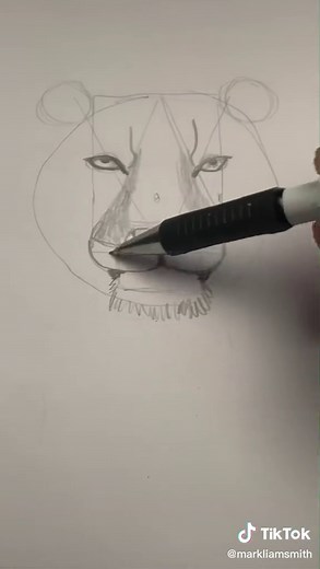 How to Draw a Tiger: Step-by-Step Tutorial