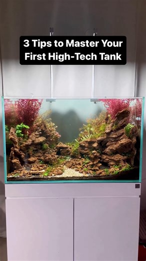 Did we miss any? Drop your high-tech tank tips 👇 Here are 3 tips to set yourself up for success when going high-tech! Thinking through each step of the aquascaping process, from plant choice to filtration, sets your tank up for long-term success 🙌 #aquascaping #aquascape #plantedaquarium #aquariumkeeping | Buce Plant