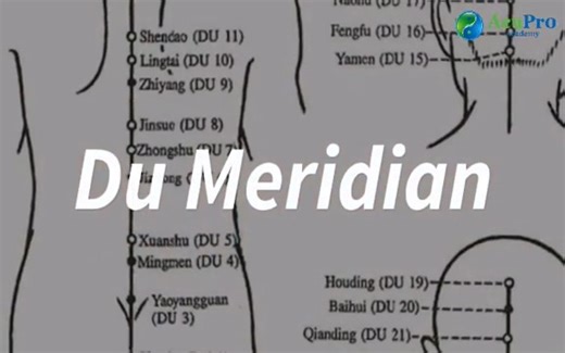 Want a quick, clear overview of the Du Meridian and its powerful role in TCM? This short video breaks down the essentials for students and practitioners alike. 🌞 👉 Learn how the Du governs Yang energy and the nervous system 👉 Trace the channel pathway along the spine and head 👉 Key acupuncture points for back pain, mental clarity, and vitality Perfect for exam prep or a fast clinical refresher! 🎯 😱 Get your FREE COURSE on Mental Health & TCM: 👉 https://www.acuproacademy.ca/facebook-online