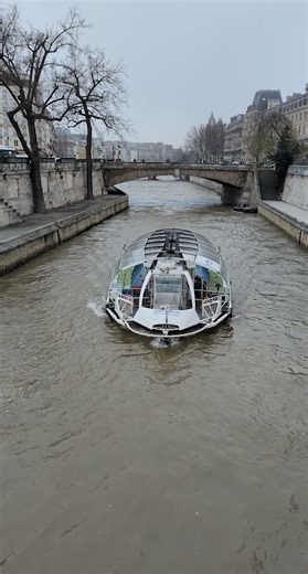 Batobus sur la Seine à Paris, au pied de Notre Dame #paris #seine #bateau