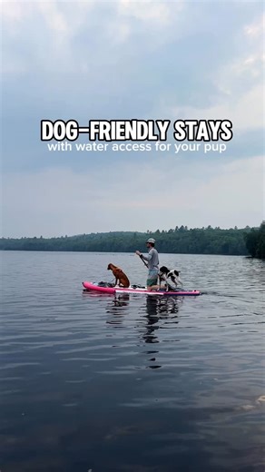 rachael | dog-friendly travel & stays on Instagram: "📌 Save these dog-friendly stays if you have a pup that’s obsessed with water 💦⁣ ⁣ While by no means an exhaustive list, these are a few of my favorite stays over the years (some hosted, some not) where my dogs can get plenty of time in the water.⁣ ⁣ 🐾⁣ Treehouse on Lake George - private dock and kayaks right on Lake George (NY) 🐾⁣ Lake Eaton - lots of sites on the water near Long Lake NY 🐾⁣ Lumen Nature 
