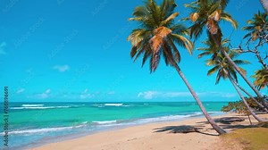 Exotic Hawaiian beach with tall palm trees on golden sand. Summer holiday and vacation concept for tourism. Inspiring tropical landscape. Calm relaxing sea beach, tropical landscape design.