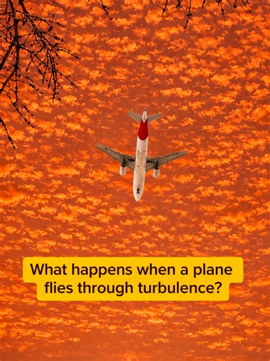 Understanding Plane Turbulence: How Wings Bend Not Break
