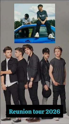 Zayn & Louis Reunite for Netflix Docuseries! 🎤🚗 | One Direction Fans Rejoice